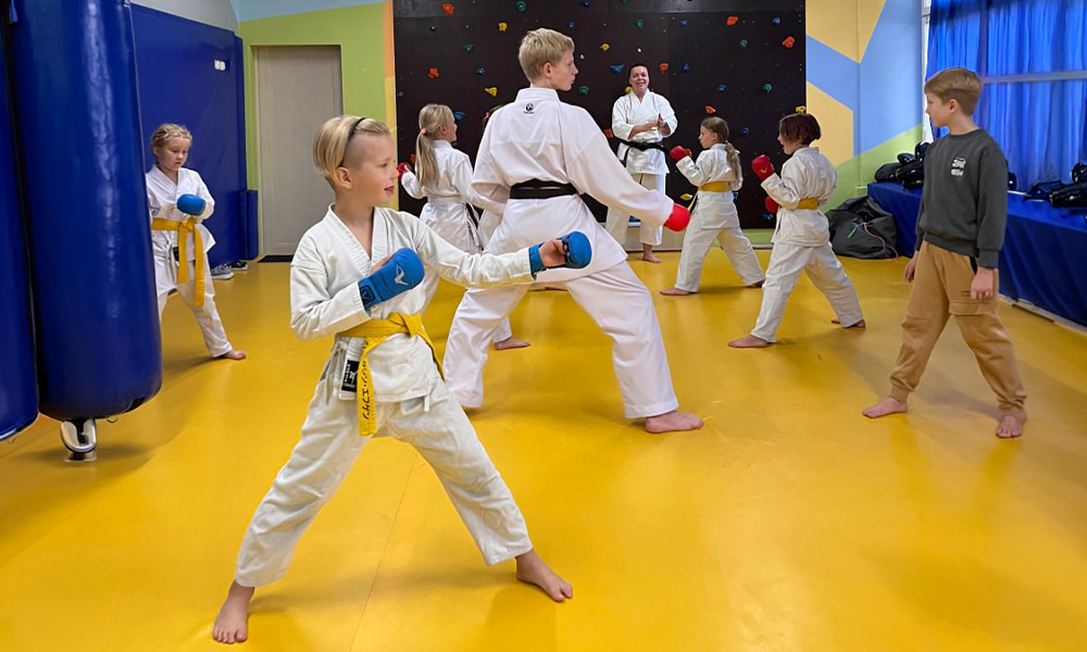 студії розвитку